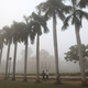 India-Delhi-Smog-air-quality